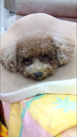 Joyce님이 올린 리뷰 사진 3