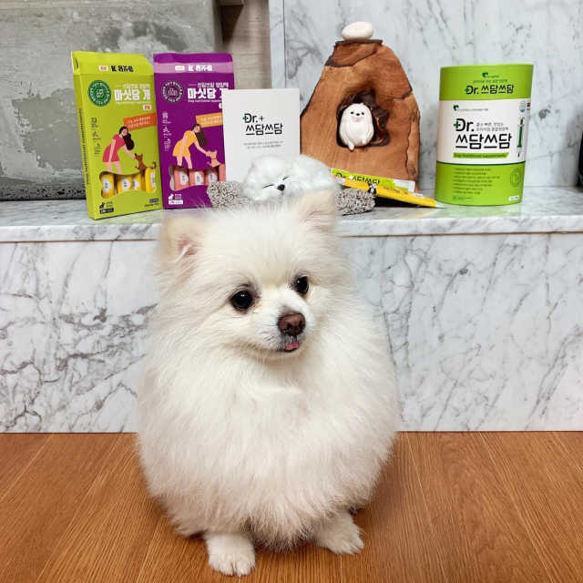 쓰담쓰담 30개입 1EA+마싯당개2EA 리뷰 사진