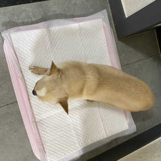 지니님이 올린 리뷰 사진 3