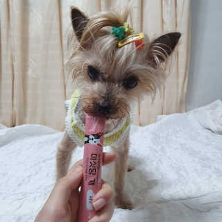 솜희님이 올린 리뷰 사진 2