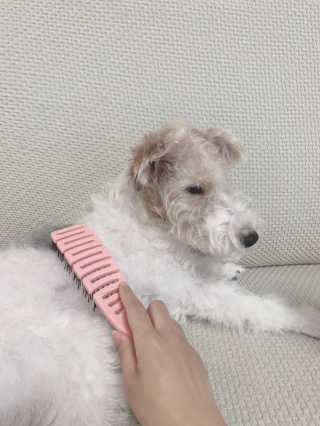 솜솜이2님이 올린 리뷰 사진 1