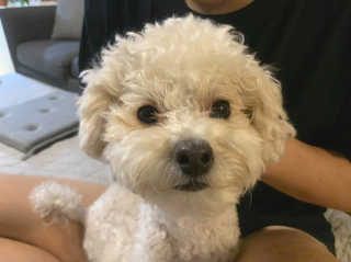 angelhyoni님이 올린 리뷰 사진 4