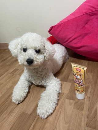 예봉봉봉님이 올린 리뷰 사진 2