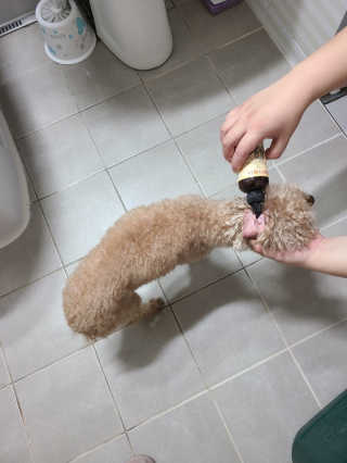 초코에몽님이 올린 리뷰 사진 3