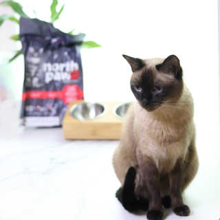 레비올라님이 올린 리뷰 사진 1
