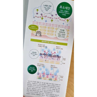 모래님이 올린 리뷰 사진 3