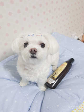 두부님이 올린 리뷰 사진 2
