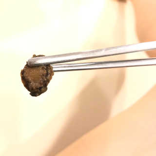 바다는다웰빙이다 완도사랑 전복죽 250g - 2팩 + 전복장조림 2팩 — 5점을 준 리뷰어가 2020년 9월 올린 사용 사진