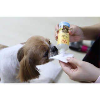 오예스님이 올린 리뷰 사진 2