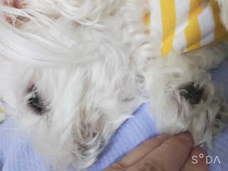 버츠비 케어플러스 릴리빙포앤노즈로션 — 5점을 준 리뷰어가 2020년 10월 올린 사용 사진