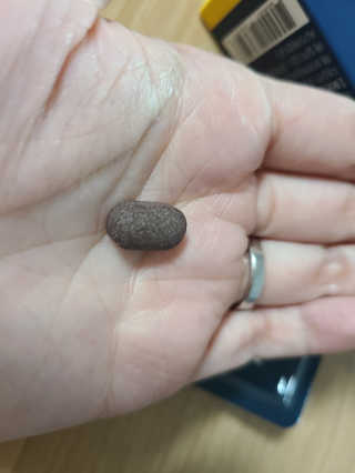 조은약초 꿀잠큐어 제주 감태추출물 감태정 600mg — 4점을 준 리뷰어가 2020년 5월 올린 사용 사진
