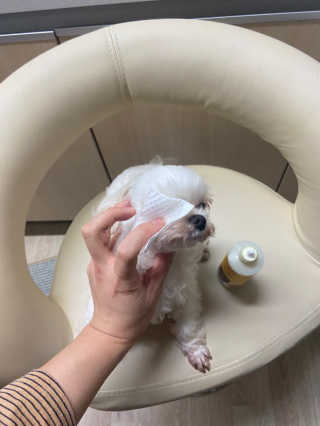 yoniyoni님이 올린 리뷰 사진 2