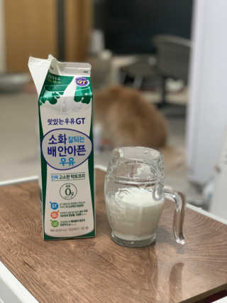 남양유업 맛있는우유GT 소화잘되는 배안아픈우유 3EA — 5점을 준 리뷰어가 2020년 10월 올린 사용 사진