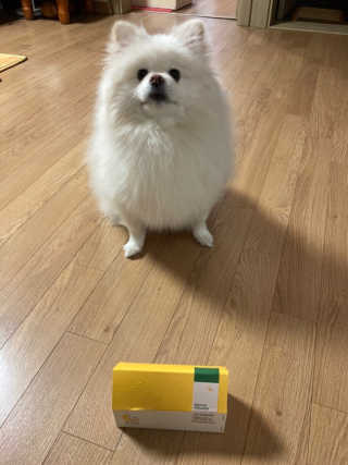 lowyr님이 올린 리뷰 사진 1