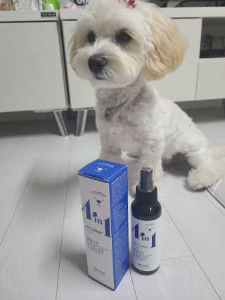 강아지스토리 포인원 모이스처 미스트 100ml — 4점을 준 리뷰어가 2020년 6월 올린 사용 사진