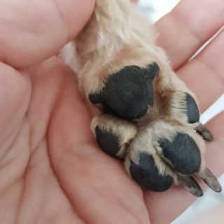 헤이뷰님이 올린 리뷰 사진 3