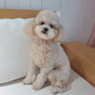 냥아치들님이 올린 리뷰 사진 4
