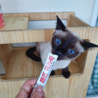 숑이님이 올린 리뷰 사진 4