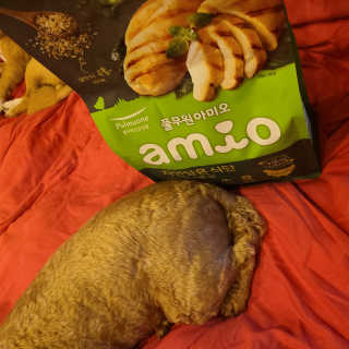 [풀무원 아미오] 자연담은식단 1kg 3종 — 4점을 준 리뷰어가 2020년 12월 올린 사용 사진