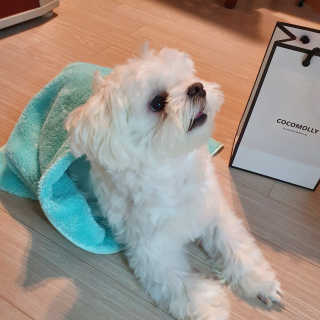 hosu.1230님이 올린 리뷰 사진 2
