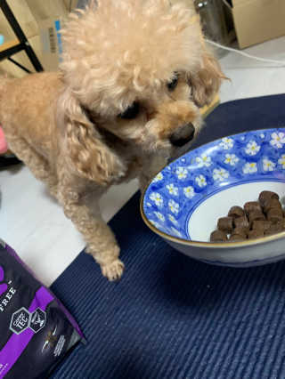 랑이님이 올린 리뷰 사진 2