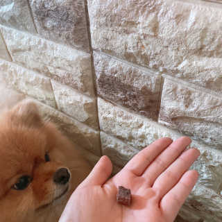 My Pet Care 천연단백질 눈건강에 개좋아 — 5점을 준 리뷰어가 2020년 12월 올린 사용 사진