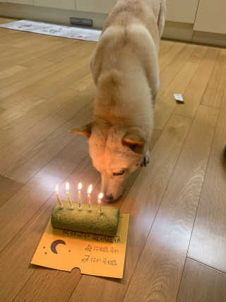 dhhvjfvvj님이 올린 리뷰 사진 3