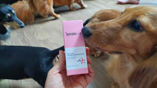 비피도랩 프로클리닉 카밍 앤 이레이징 세럼 — 5점을 준 리뷰어가 2020년 8월 올린 사용 사진