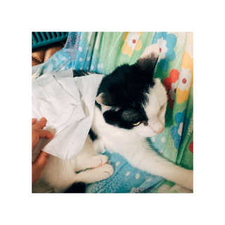 뽀야미❤️님이 올린 리뷰 사진 1