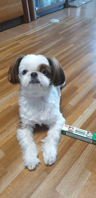 보라빗방울님이 올린 리뷰 사진 3
