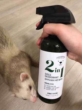 이소현님이 올린 리뷰 사진 2