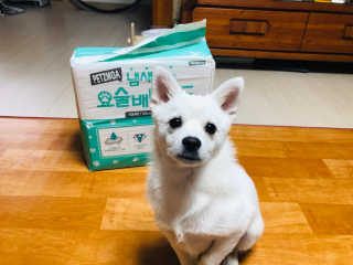 runa님이 올린 리뷰 사진 2