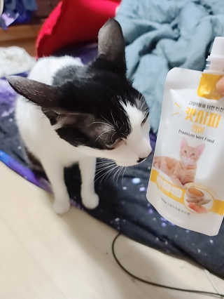 은지님이 올린 리뷰 사진 2