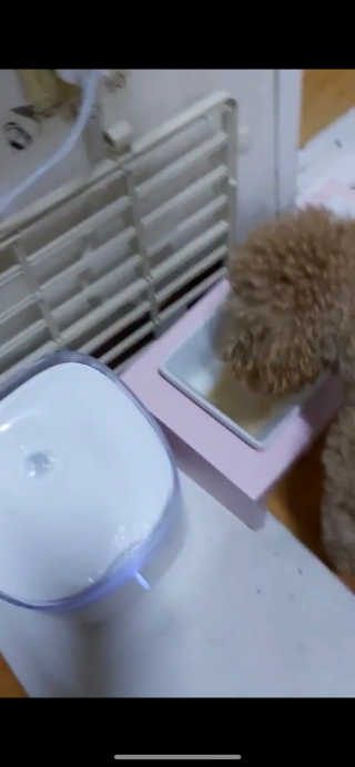 보람강님이 올린 리뷰 사진 3
