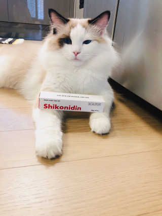 [자유펫] 시코니딘 고양이 강아지 피부 보습 연고 20g — 5점을 준 리뷰어가 2020년 7월 올린 사용 사진
