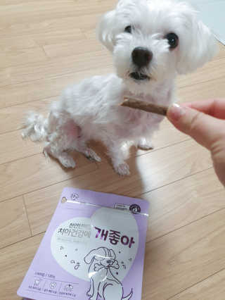 My Pet Care 천연단백질 치아건강에 개좋아 — 5점을 준 리뷰어가 2020년 12월 올린 사용 사진