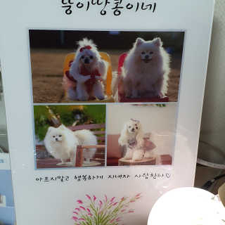 뚱이땅콩맘님이 올린 리뷰 사진 1