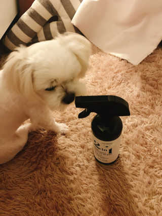 알음님이 올린 리뷰 사진 4