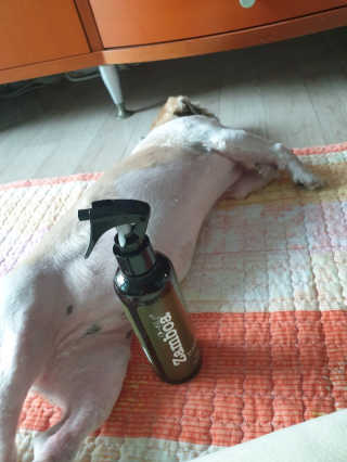 바푸니님이 올린 리뷰 사진 1