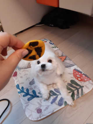 지뿡님이 올린 리뷰 사진 1
