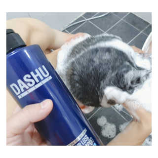 다슈코리아 다슈 데일리 단백질 한방 두피 골드 샴푸 500ml — 5점을 준 리뷰어가 2020년 7월 올린 사용 사진