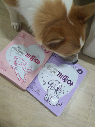 My Pet Care 천연단백질 치아건강에 개좋아 — 5점을 준 리뷰어가 2020년 11월 올린 사용 사진