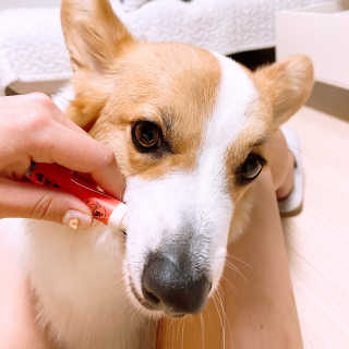 댕이누나님이 올린 리뷰 사진 3