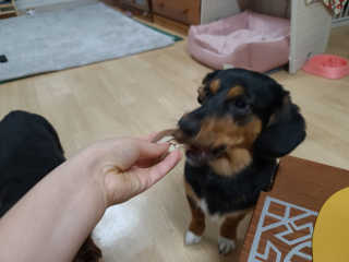 as5hh님이 올린 리뷰 사진 3