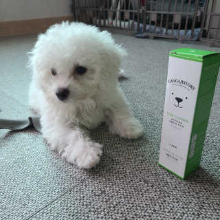 뭉뭉뭉님이 올린 리뷰 사진 2
