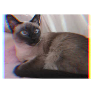 1점5리터님이 올린 리뷰 사진 3