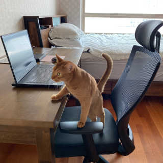 도도새님이 올린 리뷰 사진 1