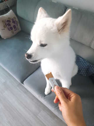 kay님이 올린 리뷰 사진 3