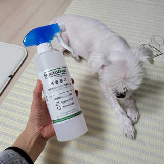 쏘이쏘이님이 올린 리뷰 사진 2