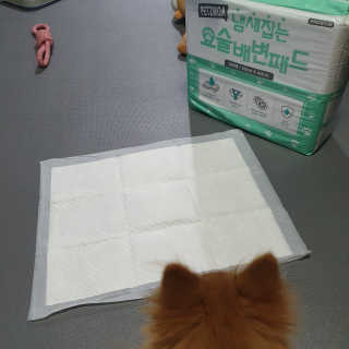 블랑로랑님이 올린 리뷰 사진 3